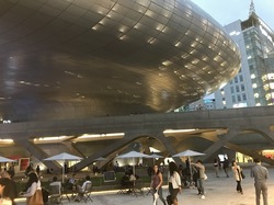 IMG_0560.jpg