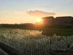 IMG_3564.JPG