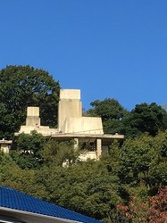 IMG_4345.jpg