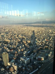 IMG_4354.jpg