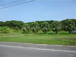 s-10_2.jpg