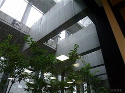 s-P1130247_2.jpg